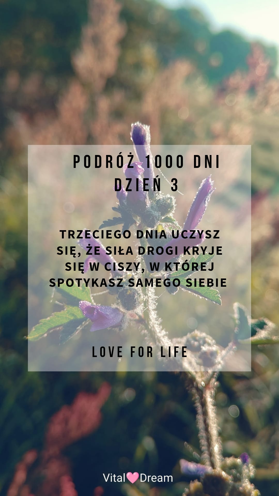 DZIEŃ 3